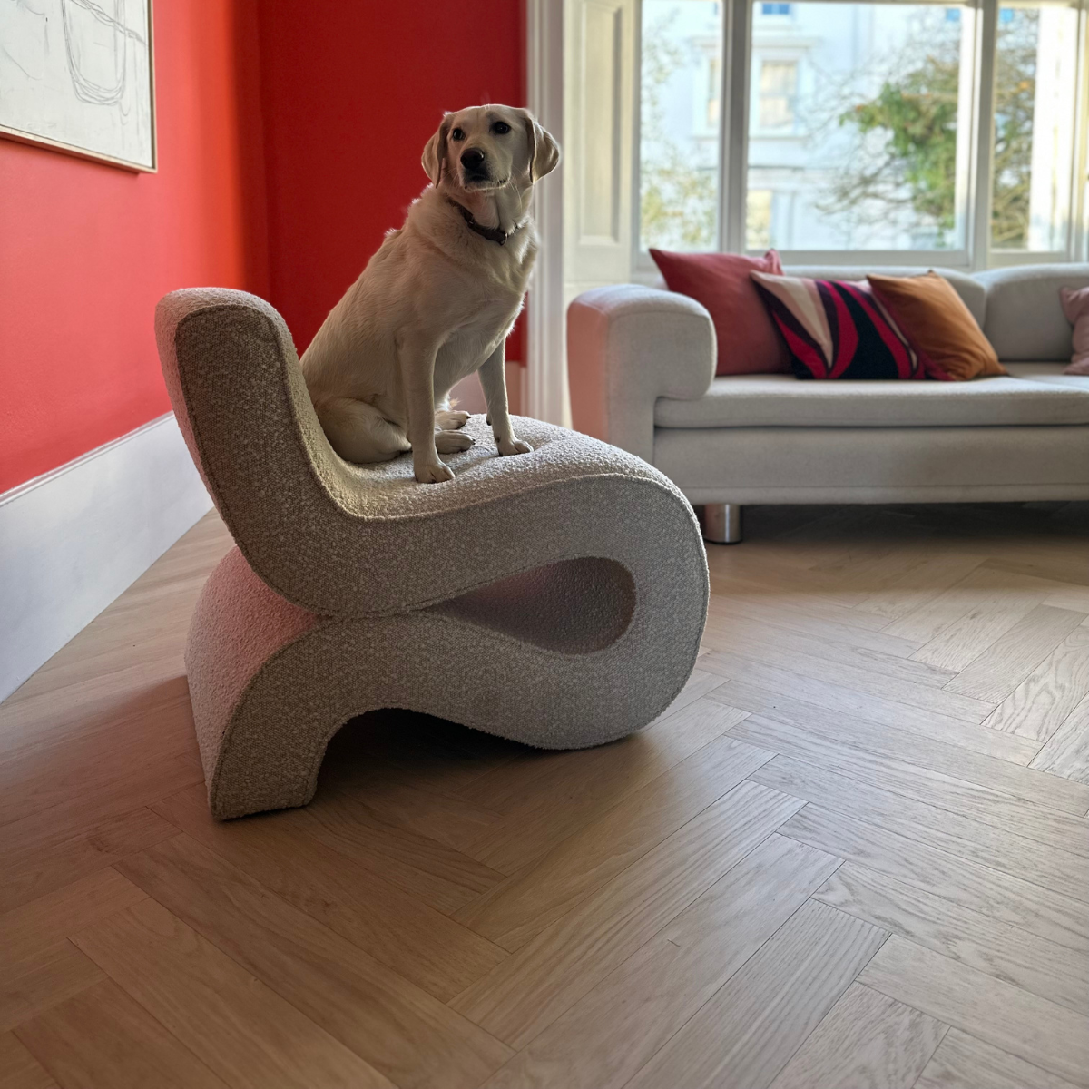 herringbone-wood-floor-in-lounge-dog-on-sofa