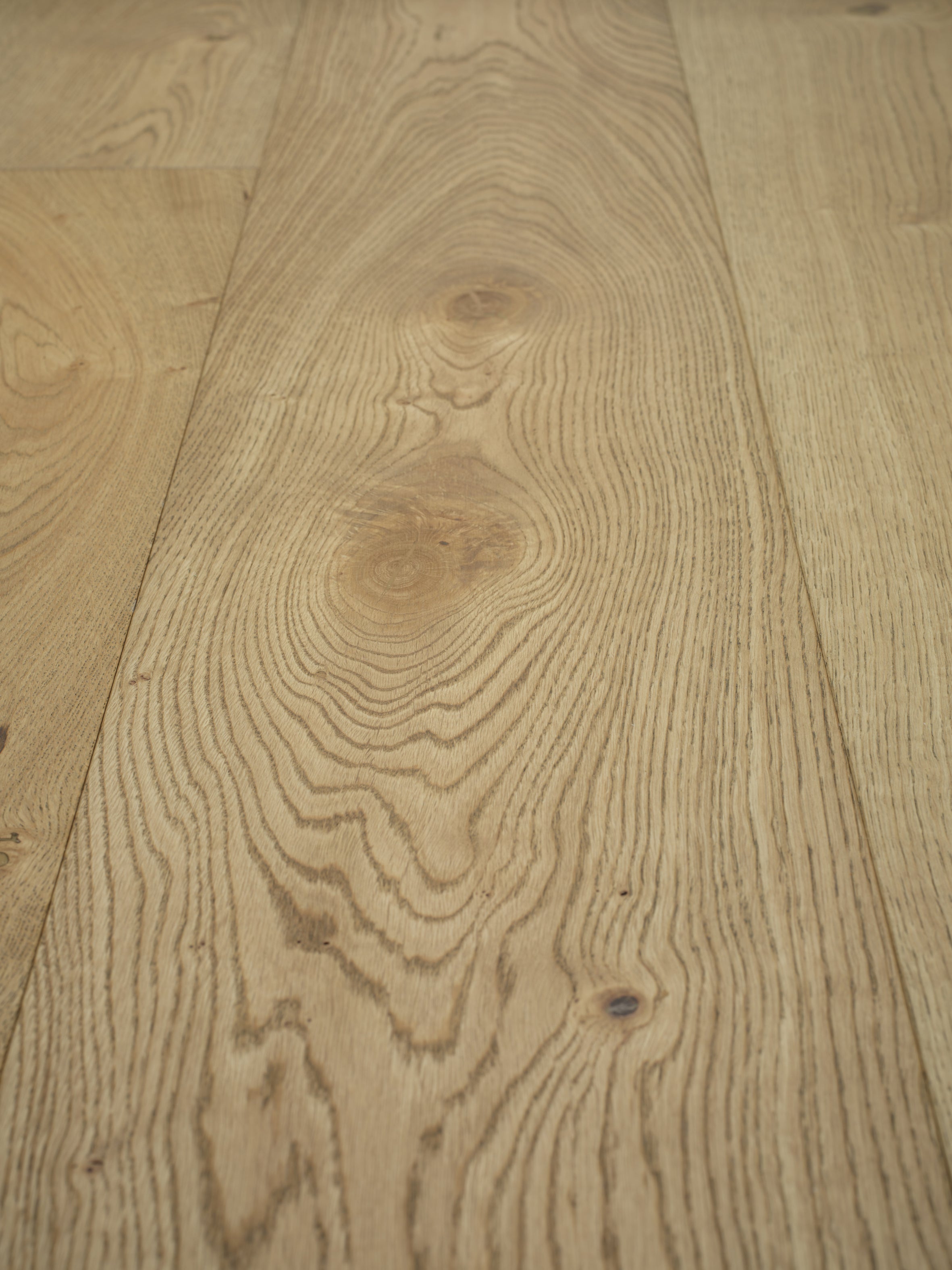 Classic Plank